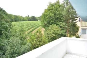 traumhafte 3 Zimmerwohnung mit Terrasse – Maisonettwohnung – hofseitig gelegen und Grünblick, 1190 Wien, Wohnung