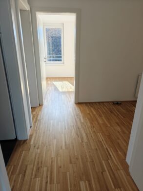 Neubau – tolle 3 Zimmerwohnung mit Dachterrasse und Klimaanlage zu vermieten, 1230 Wien, Dachgeschosswohnung